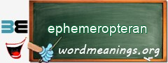 WordMeaning blackboard for ephemeropteran